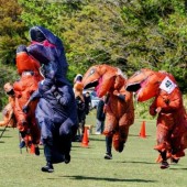 Hài hước cuộc thi marathon dành cho khủng long T-Rex